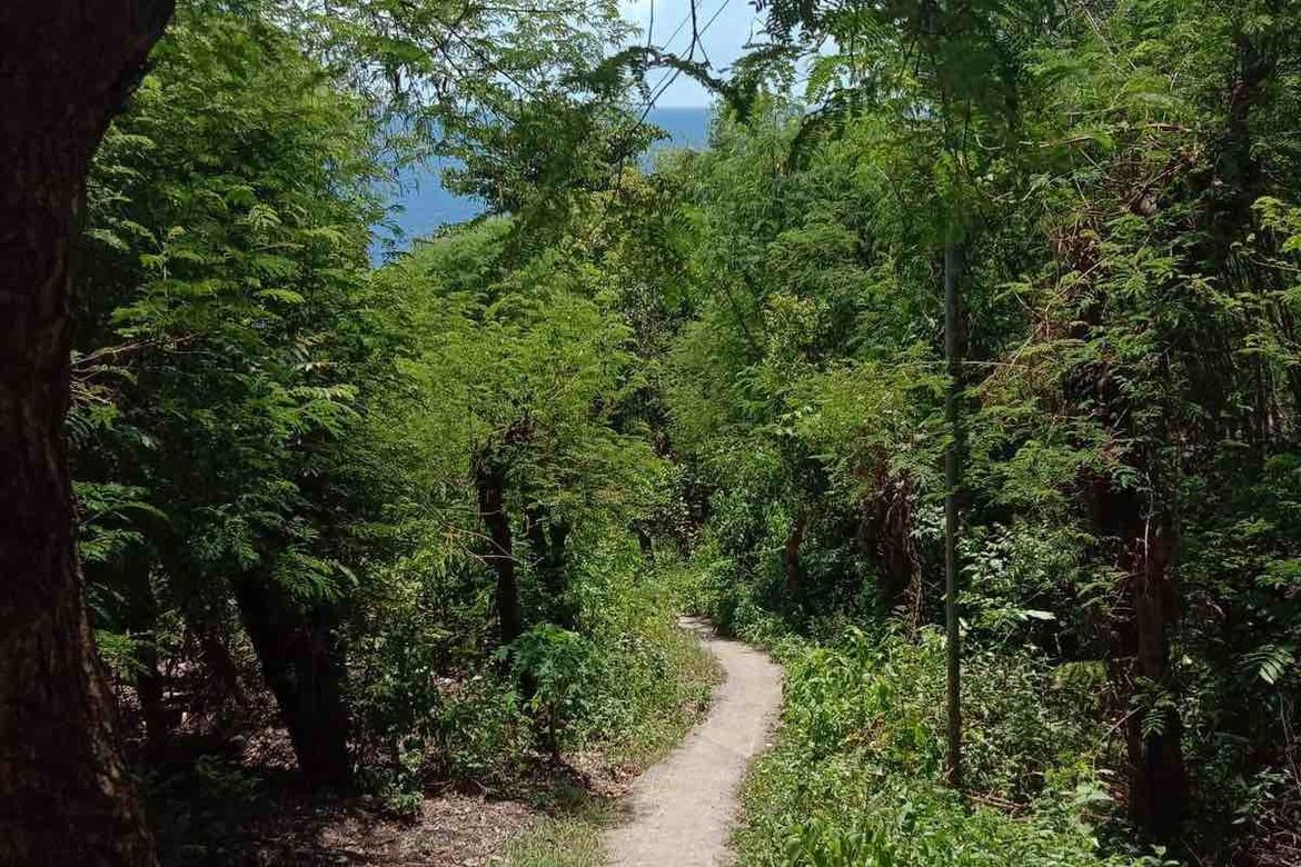 Land for Sale in Poblacion, Boljoon, Cebu – photo 7