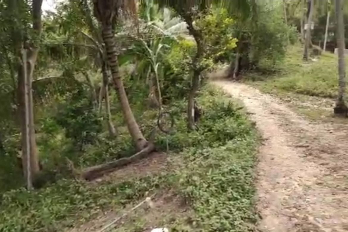 Land for Sale in Poblacion, Boljoon, Cebu