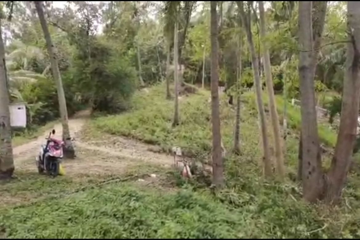 Land for Sale in Poblacion, Boljoon, Cebu – photo 2