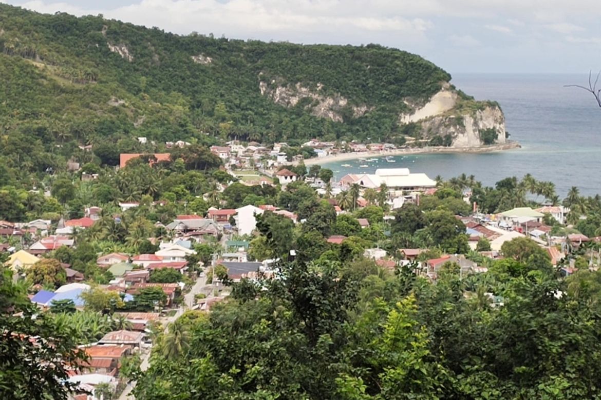 Land for Sale in Poblacion, Boljoon, Cebu – photo 4