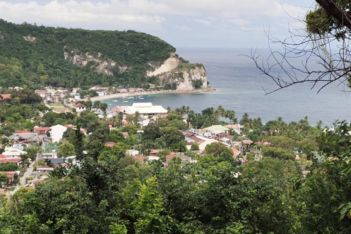 Land for Sale in Poblacion, Boljoon, Cebu – photo 5
