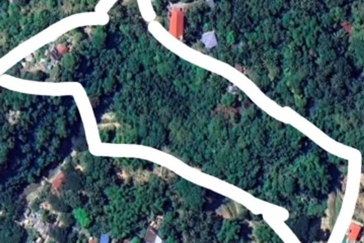 Land for Sale in Poblacion, Boljoon, Cebu – photo 8
