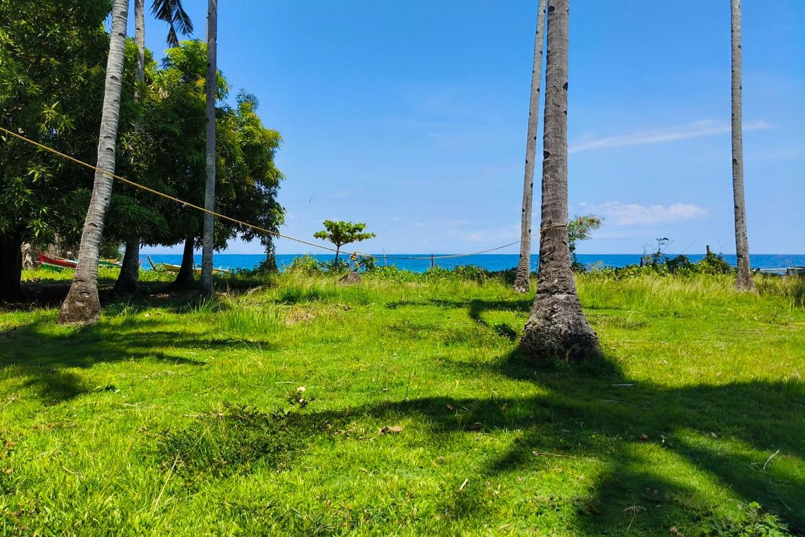 Land for Sale in Poblacion, Boljoon, Cebu – photo 2