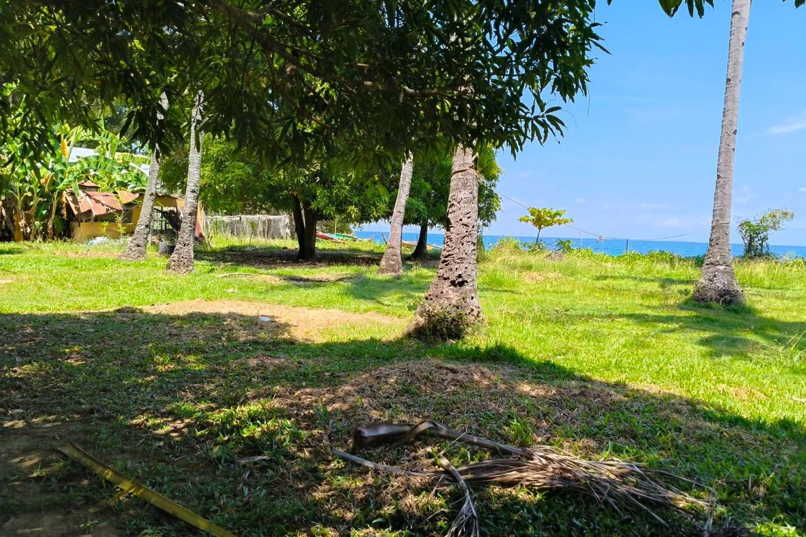 Land for Sale in Poblacion, Boljoon, Cebu – photo 4