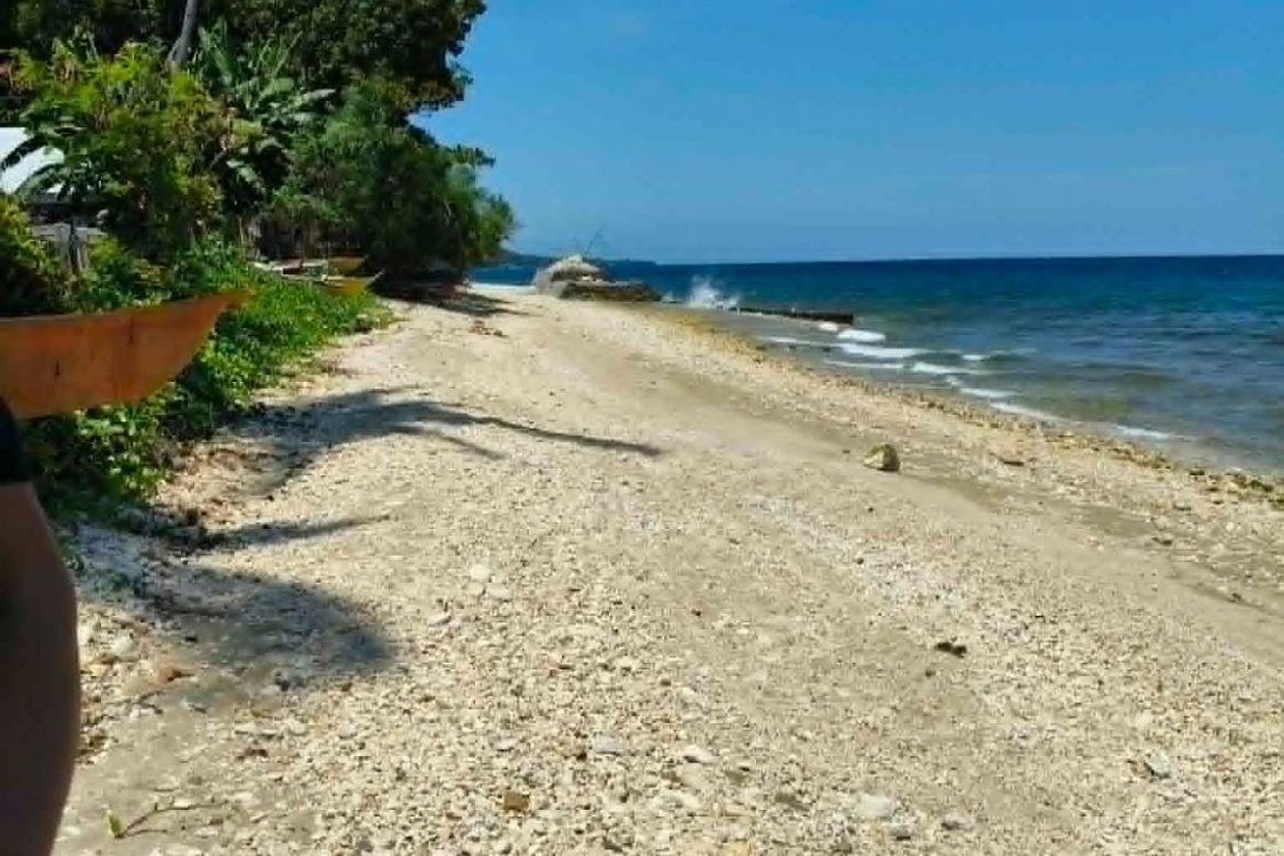 Land for Sale in Poblacion, Boljoon, Cebu – photo 12
