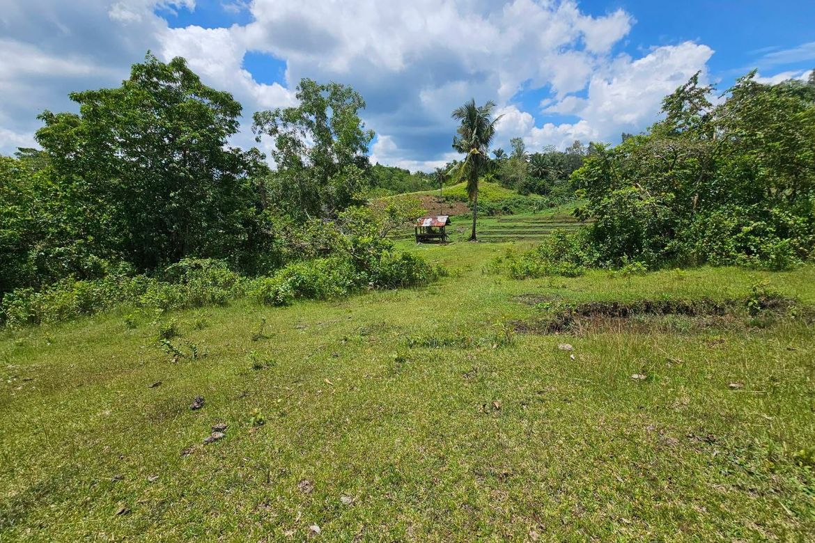 Land for Sale in Poblacion, Buenavista, Bohol – photo 2