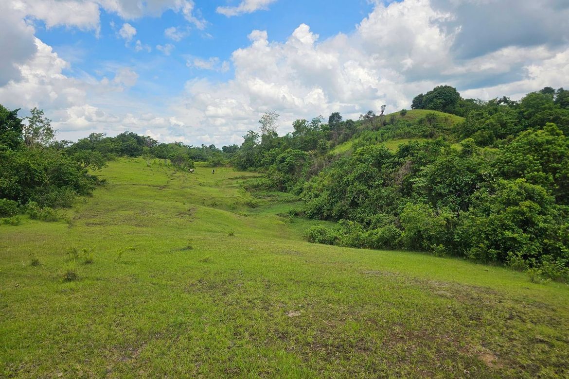 Land for Sale in Poblacion, Buenavista, Bohol – photo 5