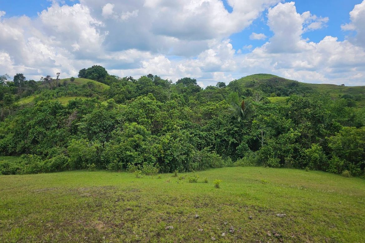 Land for Sale in Poblacion, Buenavista, Bohol – photo 6