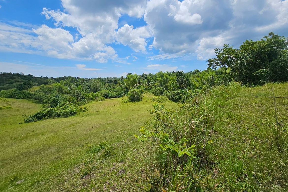 Land for Sale in Poblacion, Buenavista, Bohol – photo 7