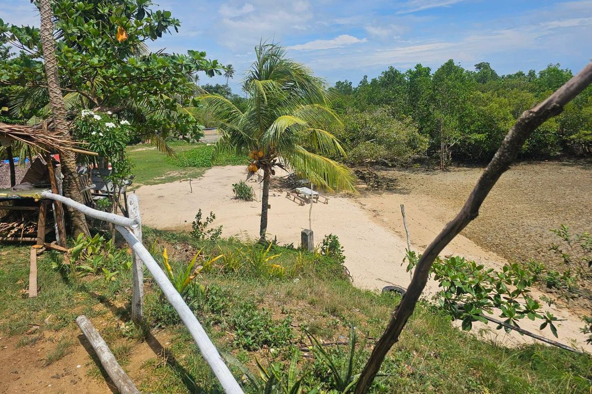 Land for Sale in Poblacion, Buenavista, Bohol – photo 8