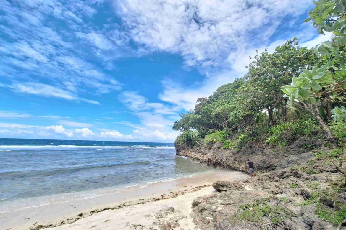 Land for Sale in Poblacion, Caraga, Davao Oriental – photo 3
