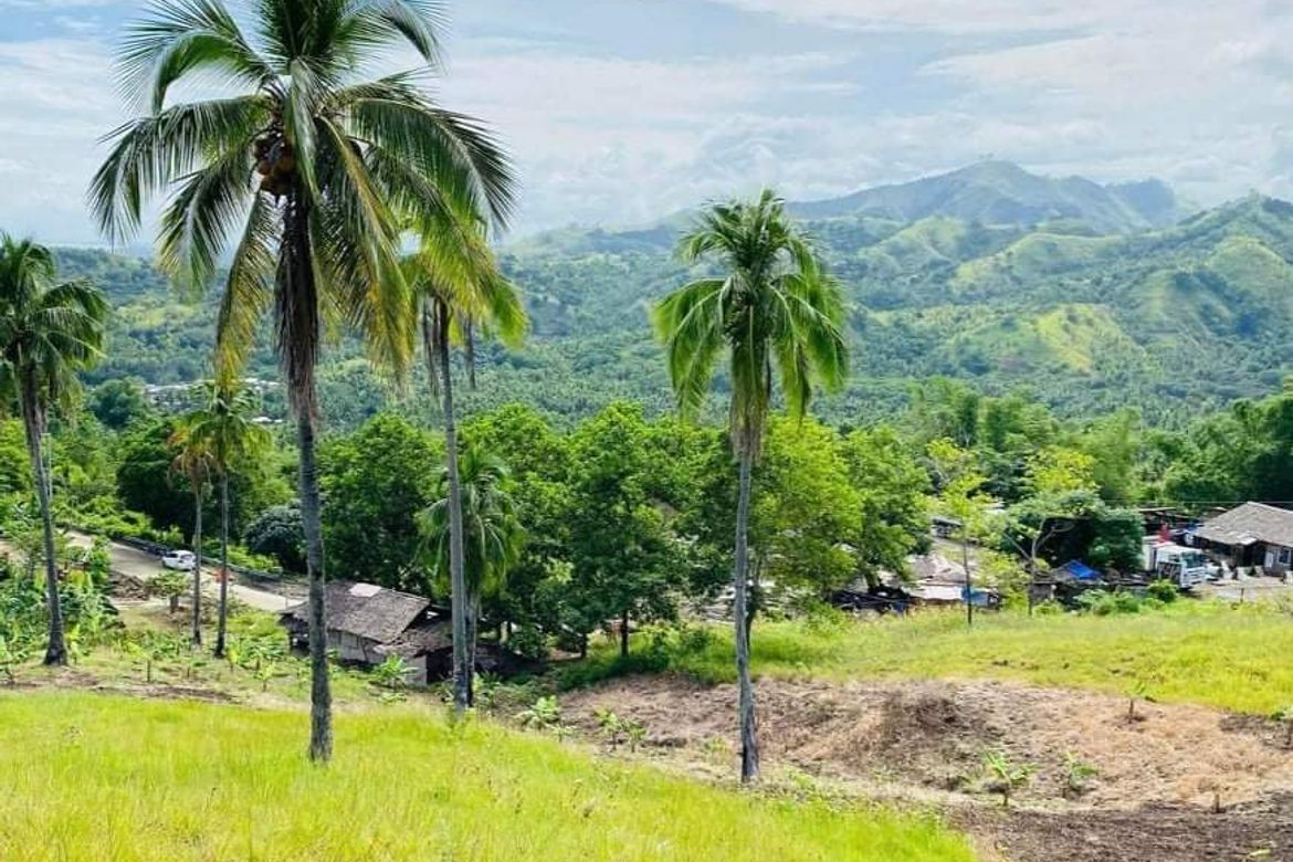 Land for Sale in Poblacion, Carmen, Agusan del Norte