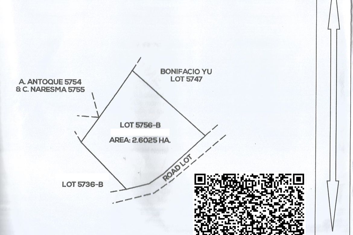 Land for Sale in Poblacion, Carmen, Agusan del Norte – photo 3