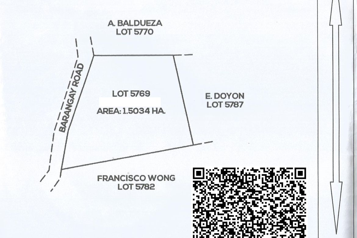 Land for Sale in Poblacion, Carmen, Agusan del Norte – photo 5