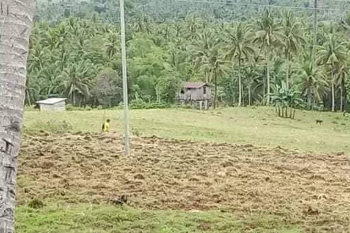 Land for Sale in Poblacion Central, Dumanjug, Cebu – photo 2