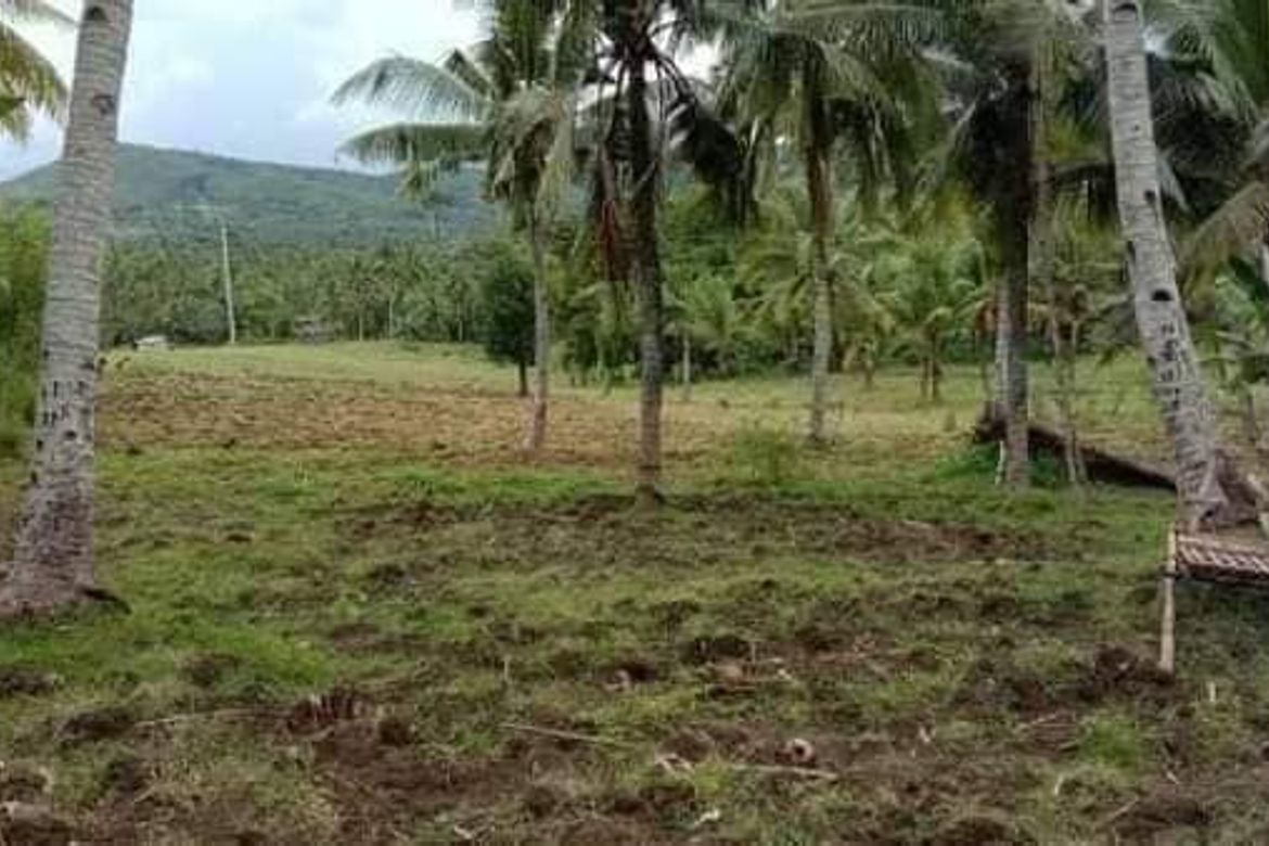 Land for Sale in Poblacion Central, Dumanjug, Cebu – photo 3
