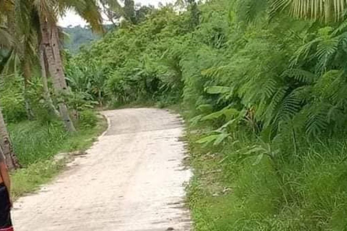 Land for Sale in Poblacion Central, Dumanjug, Cebu – photo 5