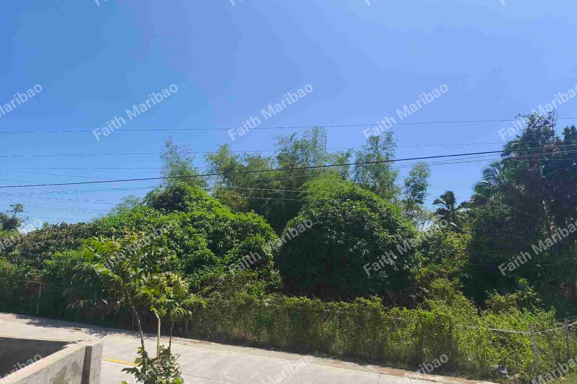 Land for Sale in Poblacion Central, Dumanjug, Cebu