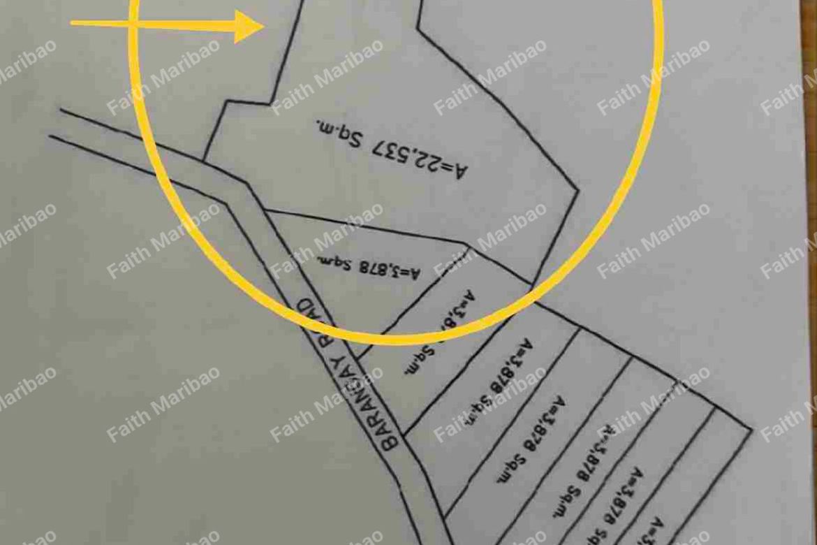 Land for Sale in Poblacion Central, Dumanjug, Cebu – photo 4