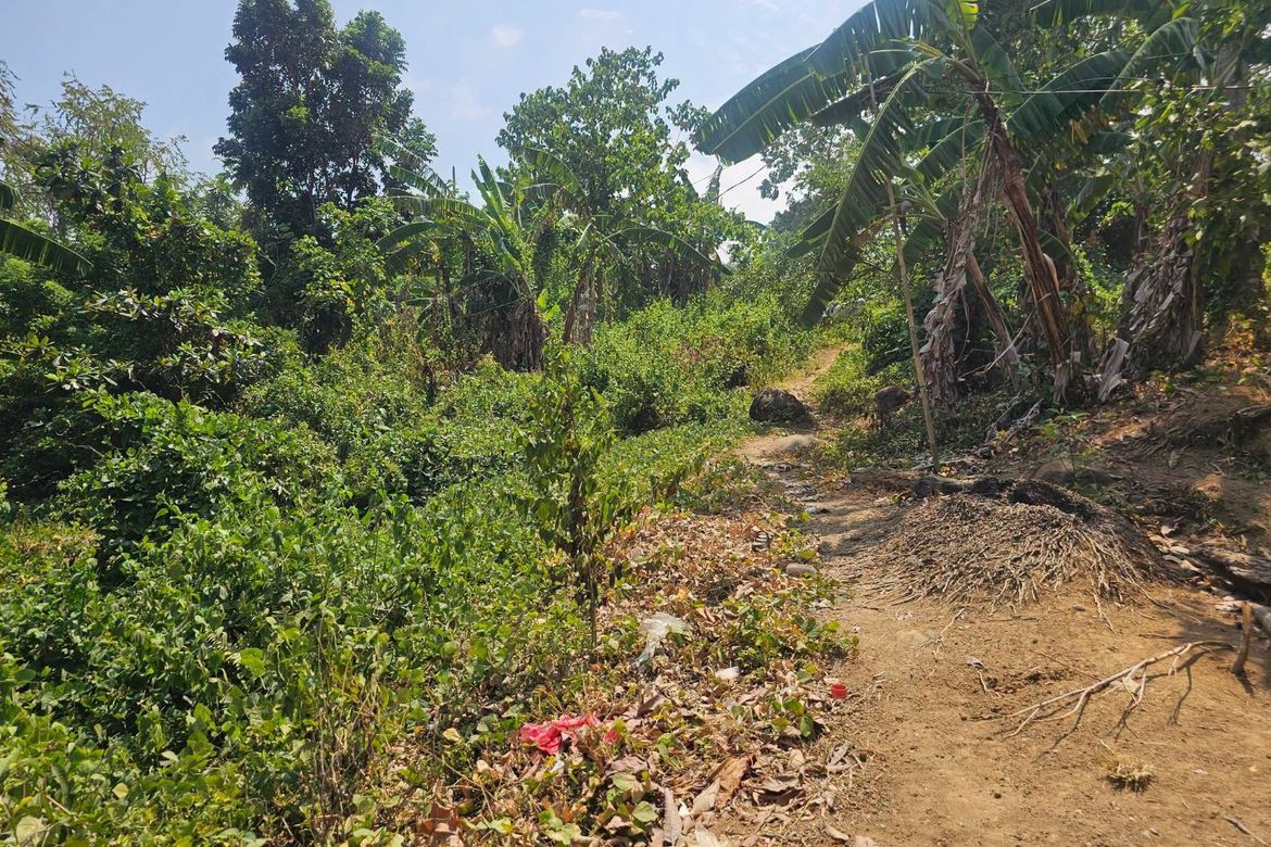 Land for Sale in Poblacion Centro, Clarin, Bohol – photo 2