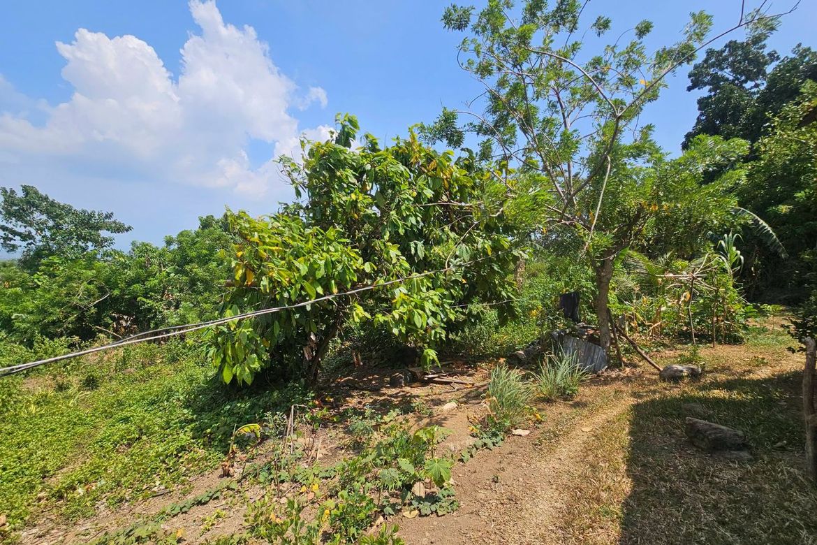 Land for Sale in Poblacion Centro, Clarin, Bohol – photo 3