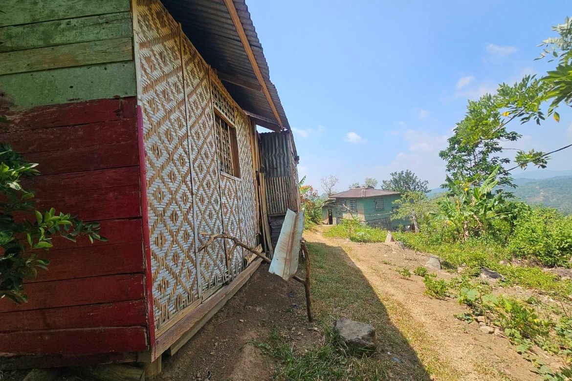 Land for Sale in Poblacion Centro, Clarin, Bohol – photo 5