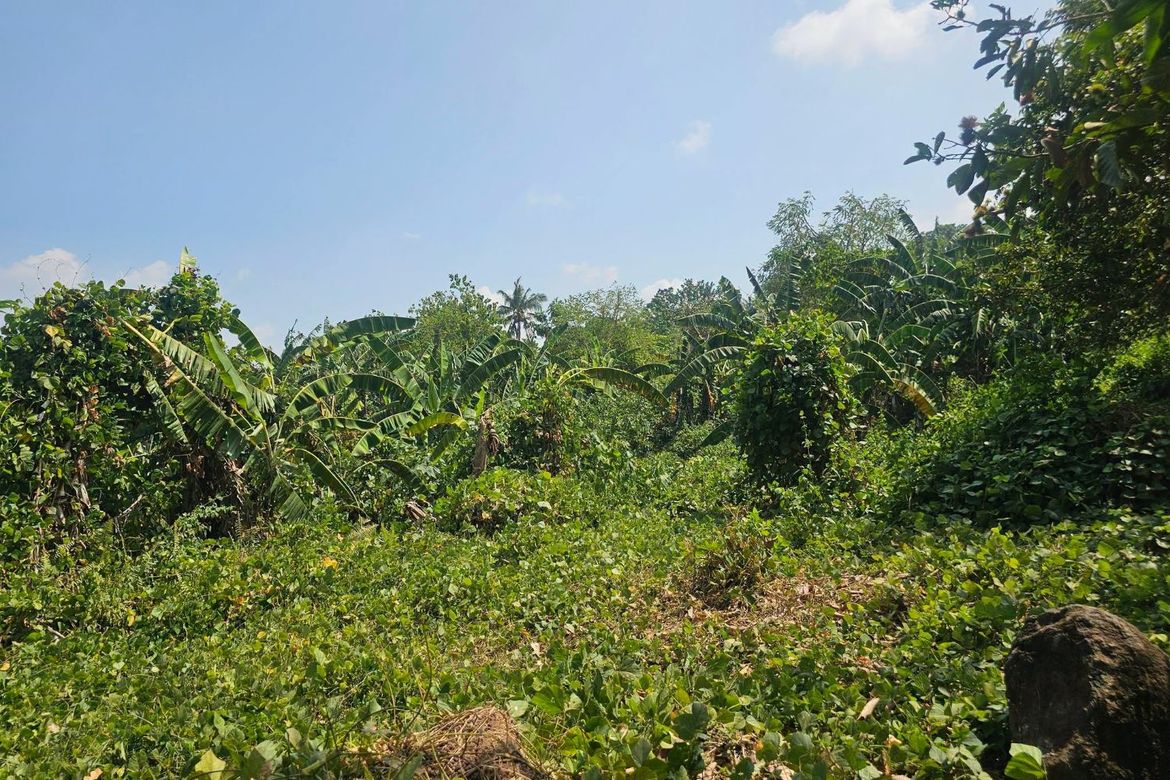 Land for Sale in Poblacion Centro, Clarin, Bohol – photo 6