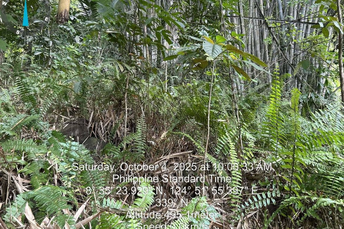 Land for Sale in Poblacion, Claveria, Misamis Oriental – photo 2