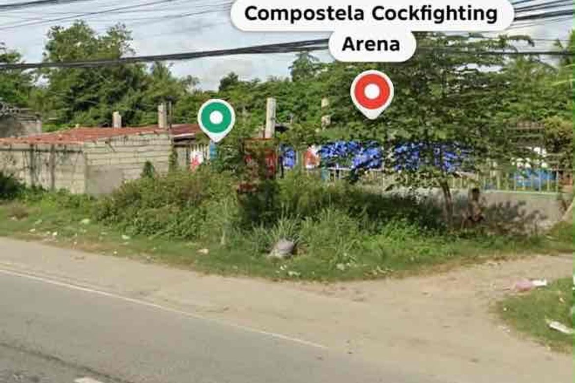 Land for Sale in Poblacion, Compostela, Cebu – photo 3