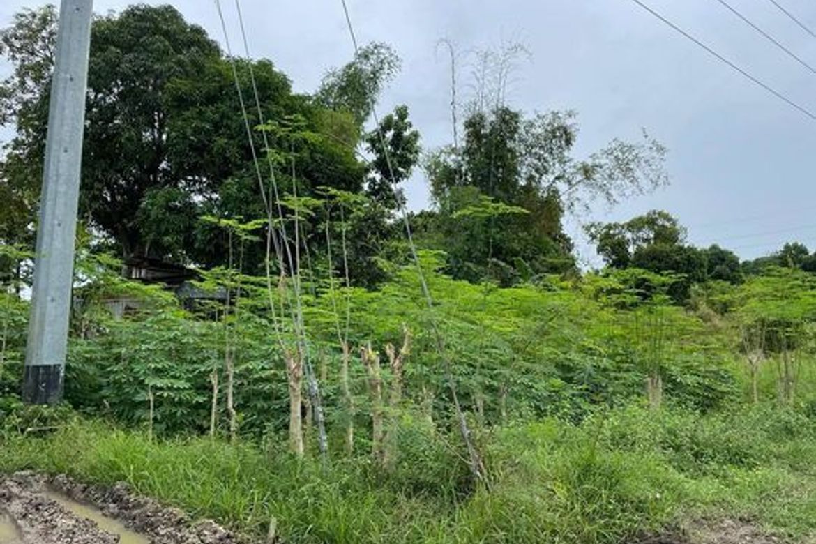Land for Sale in Poblacion, Compostela, Cebu – photo 2