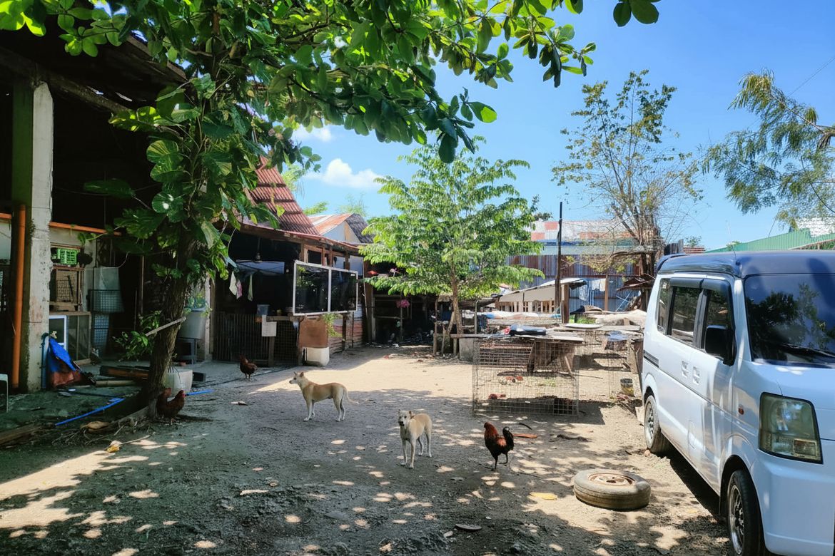 Land for Sale in Poblacion, Cordoba, Cebu – photo 2