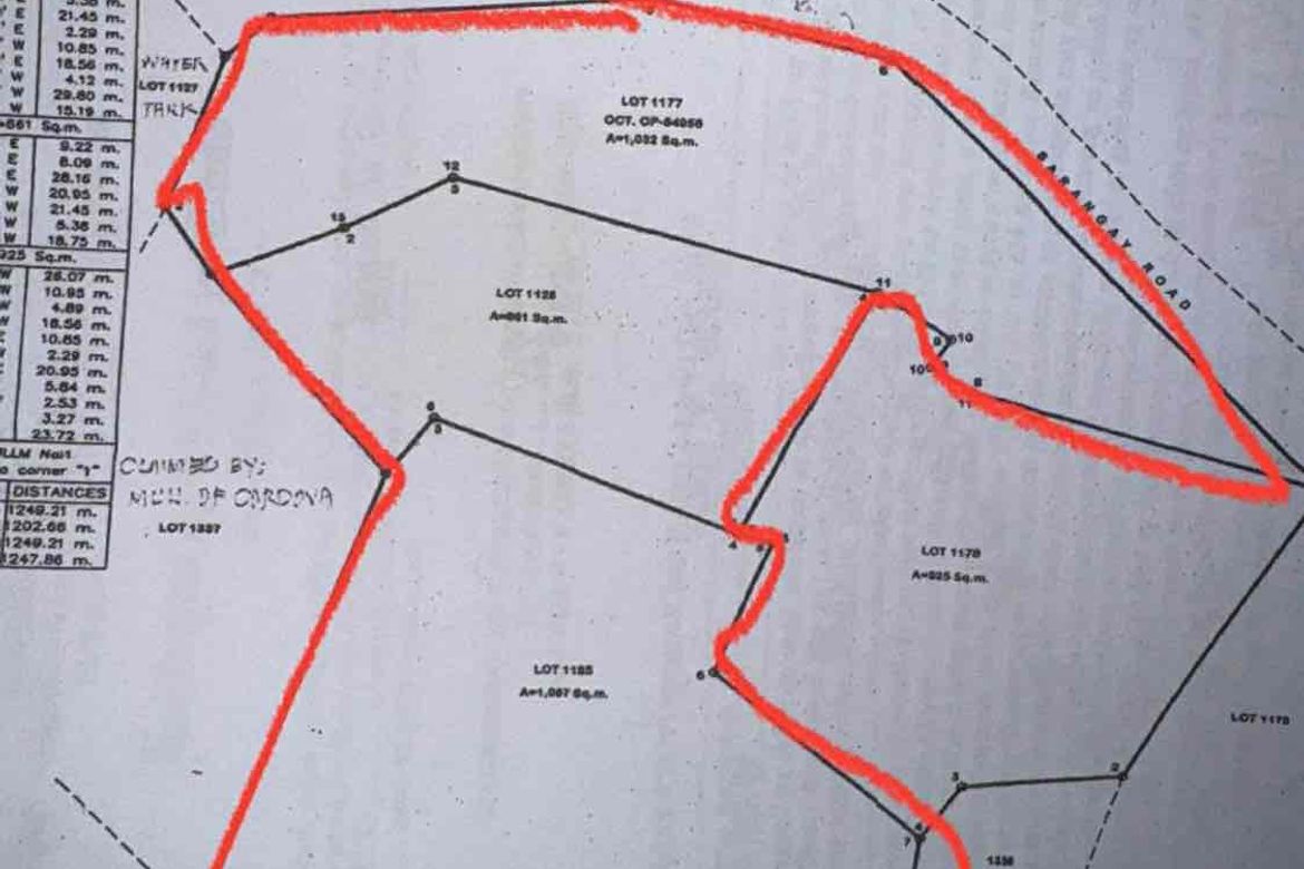 Land for Sale in Poblacion, Cordoba, Cebu – photo 4