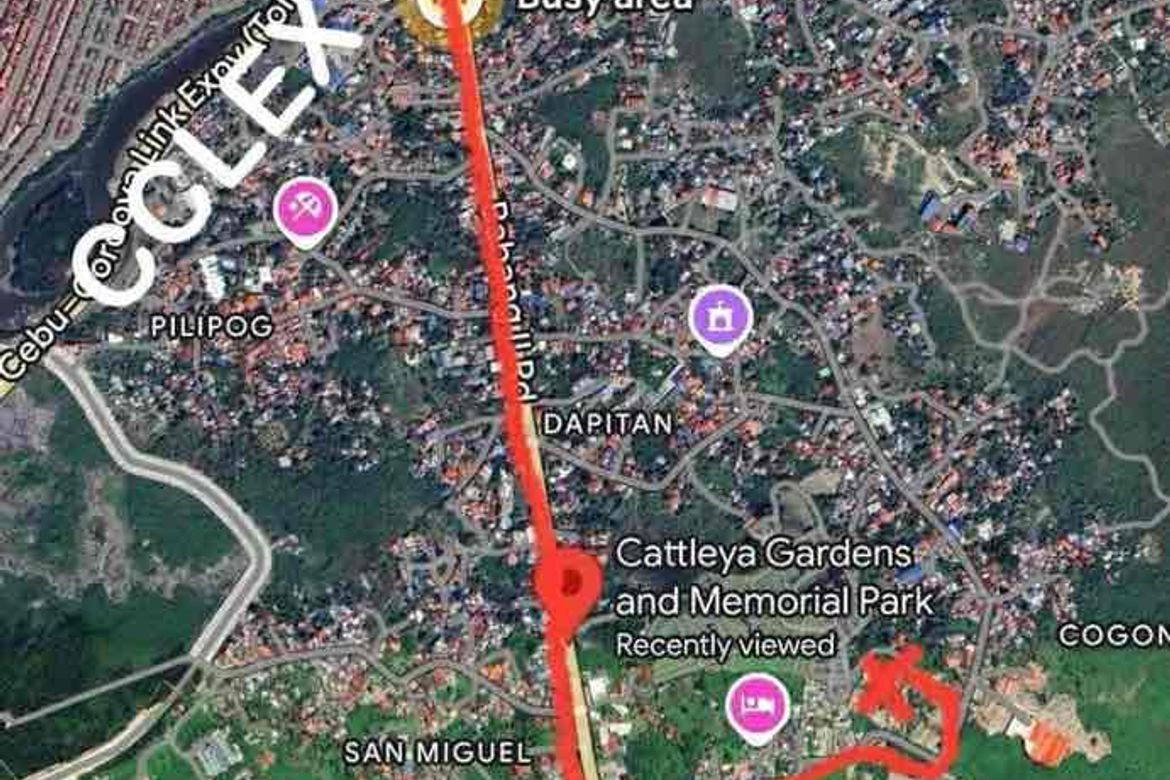 Land for Sale in Poblacion, Cordoba, Cebu – photo 6