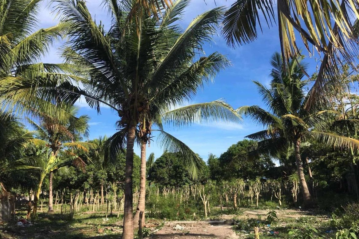 Land for Sale in Poblacion, Cordoba, Cebu – photo 4