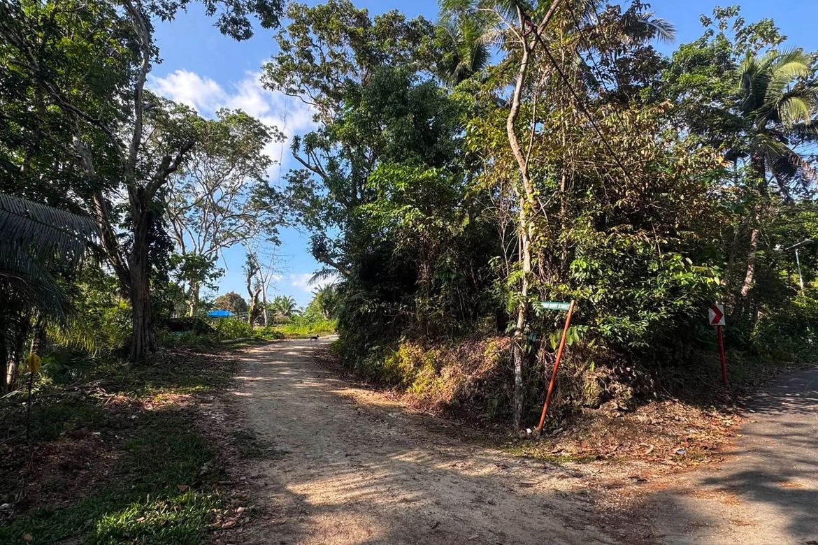 Land for Sale in Poblacion, Corella, Bohol – photo 2