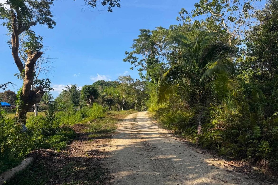Land for Sale in Poblacion, Corella, Bohol – photo 3