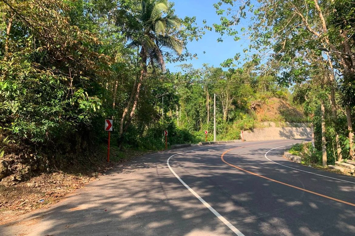 Land for Sale in Poblacion, Corella, Bohol – photo 6