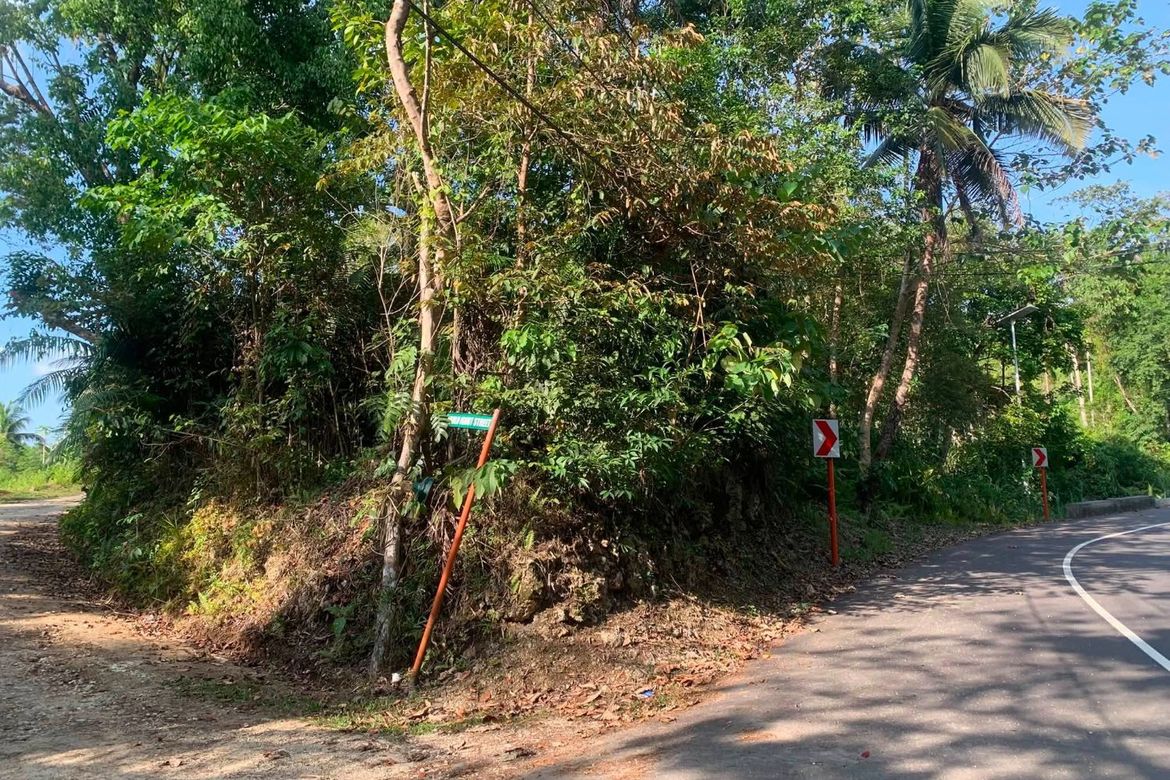 Land for Sale in Poblacion, Corella, Bohol – photo 7
