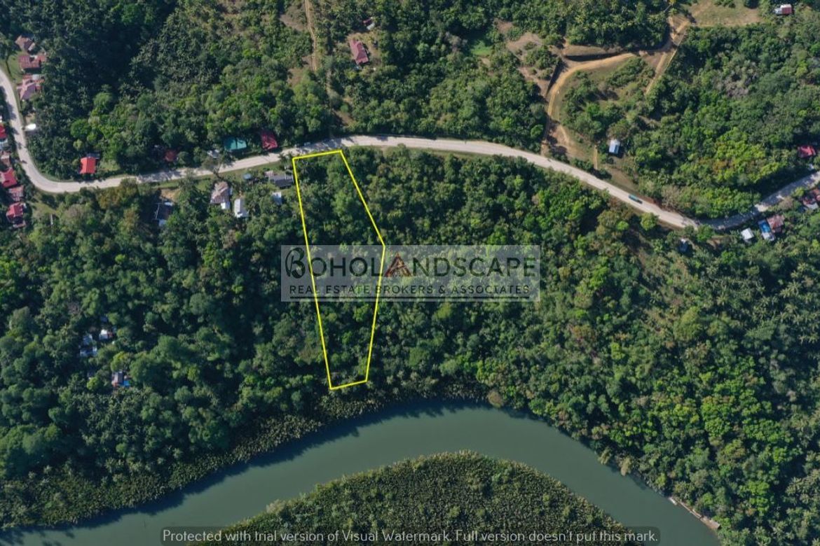 Land for Sale in Poblacion, Cortes, Bohol