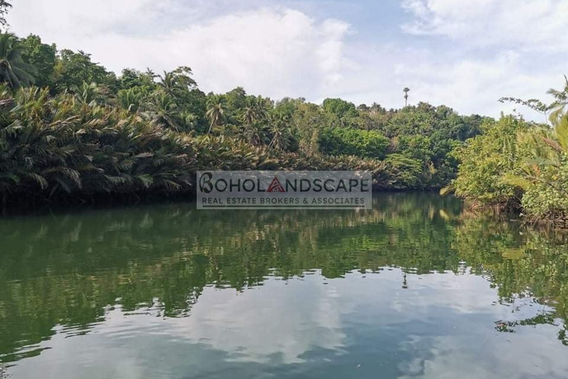 Land for Sale in Poblacion, Cortes, Bohol – photo 2