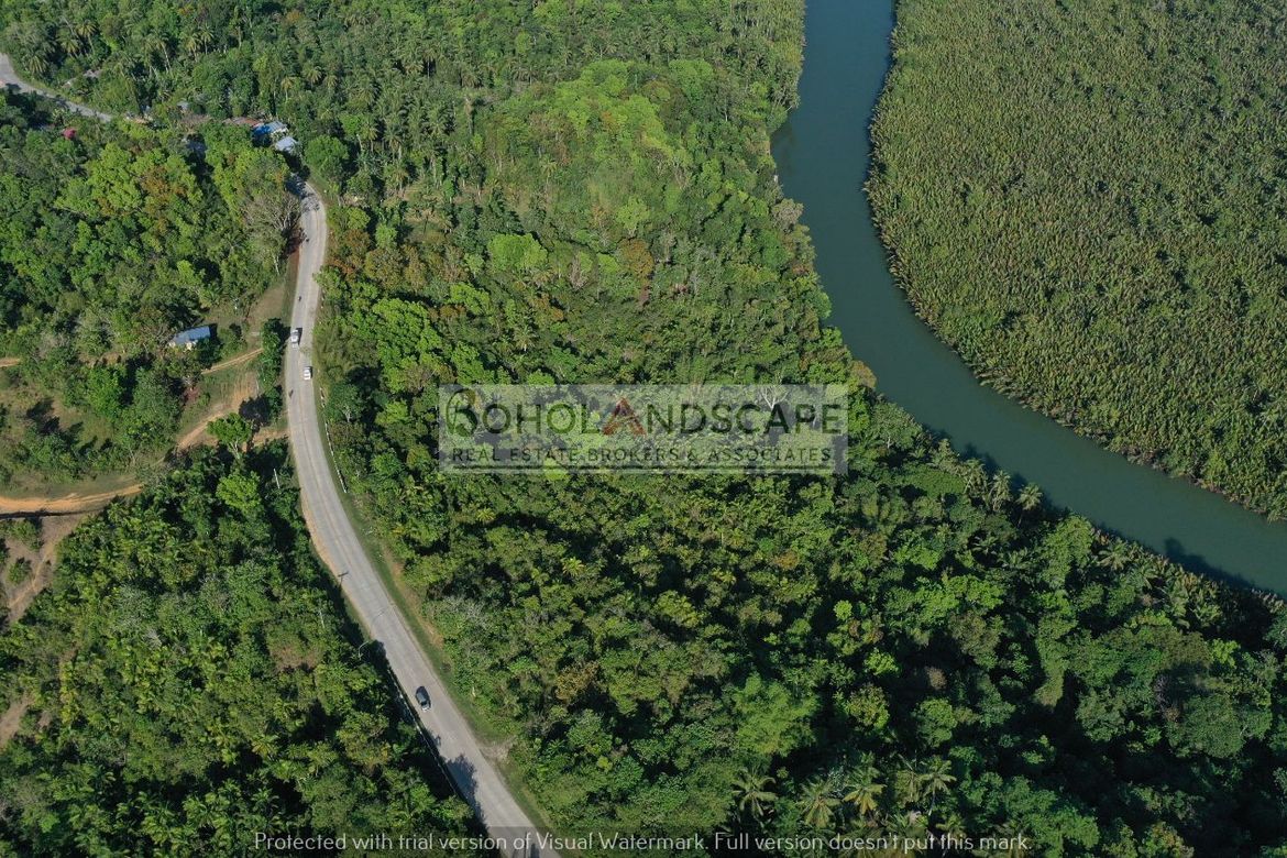 Land for Sale in Poblacion, Cortes, Bohol – photo 3