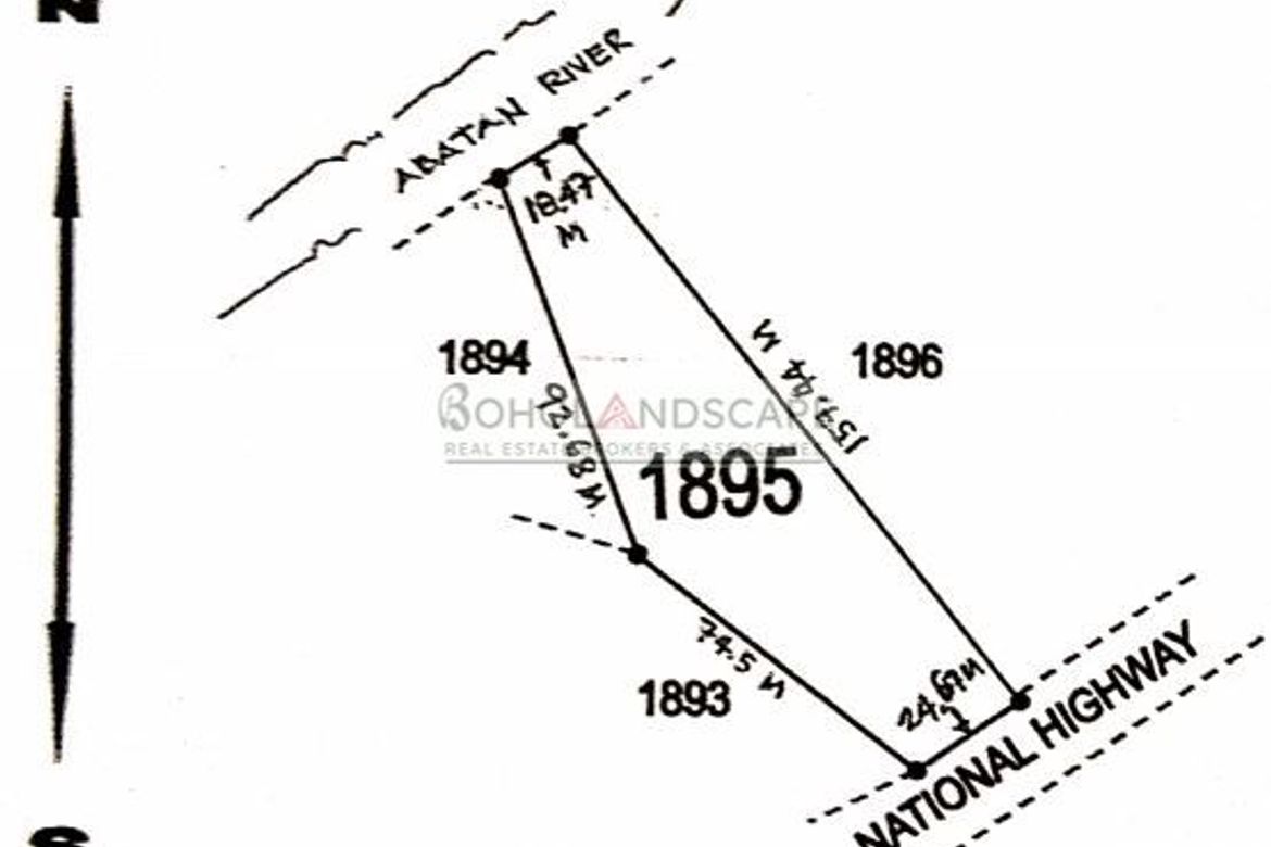 Land for Sale in Poblacion, Cortes, Bohol – photo 4
