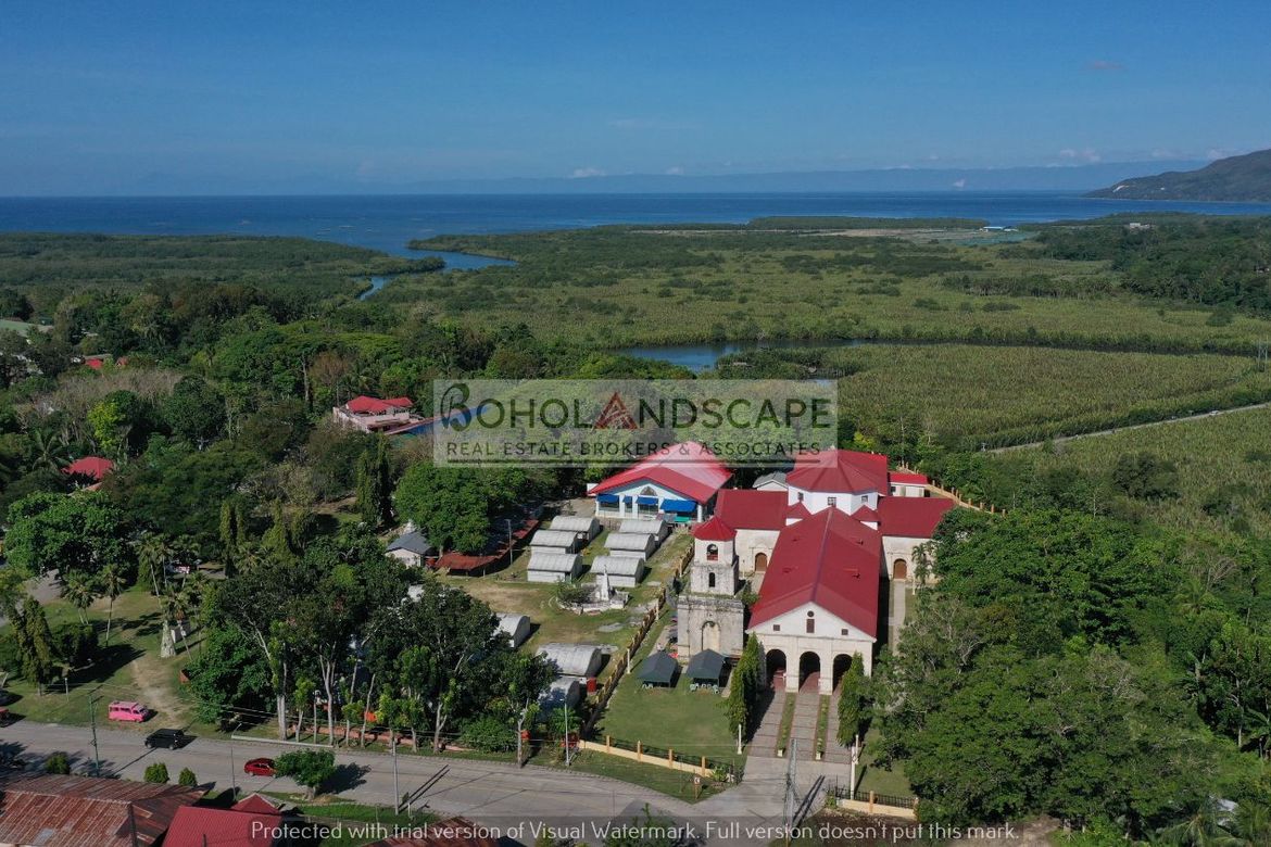 Land for Sale in Poblacion, Cortes, Bohol – photo 5