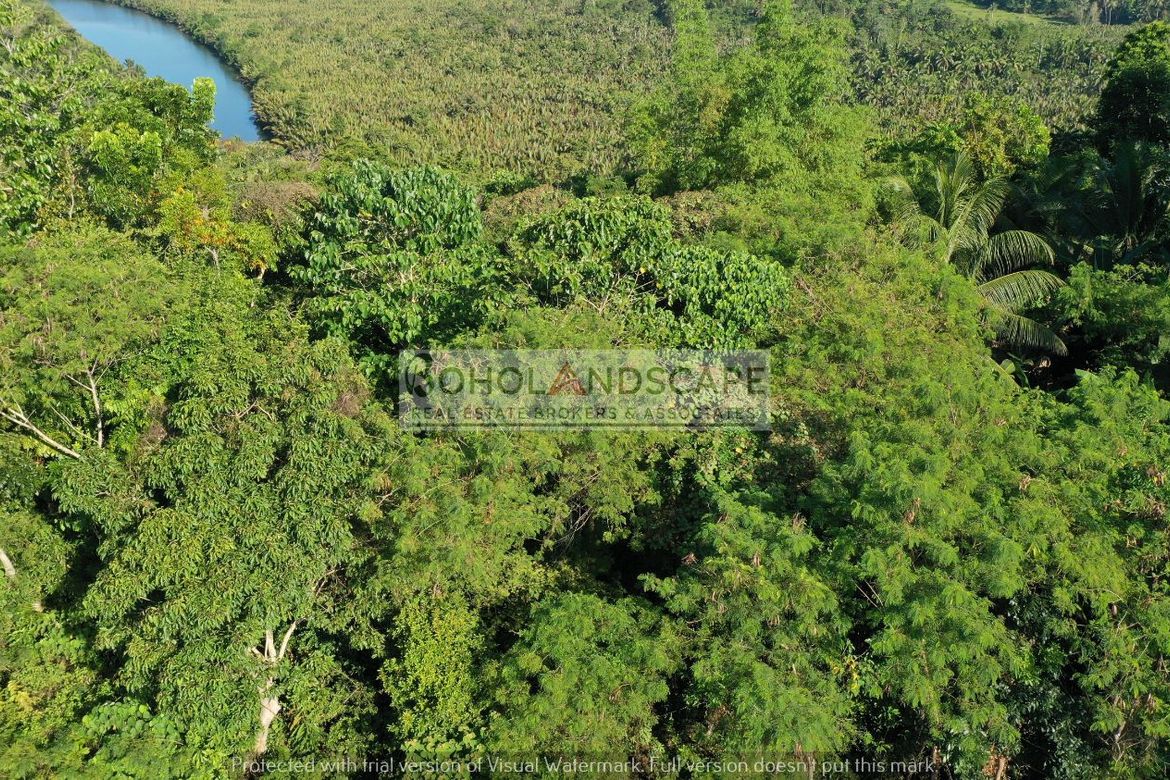 Land for Sale in Poblacion, Cortes, Bohol – photo 6
