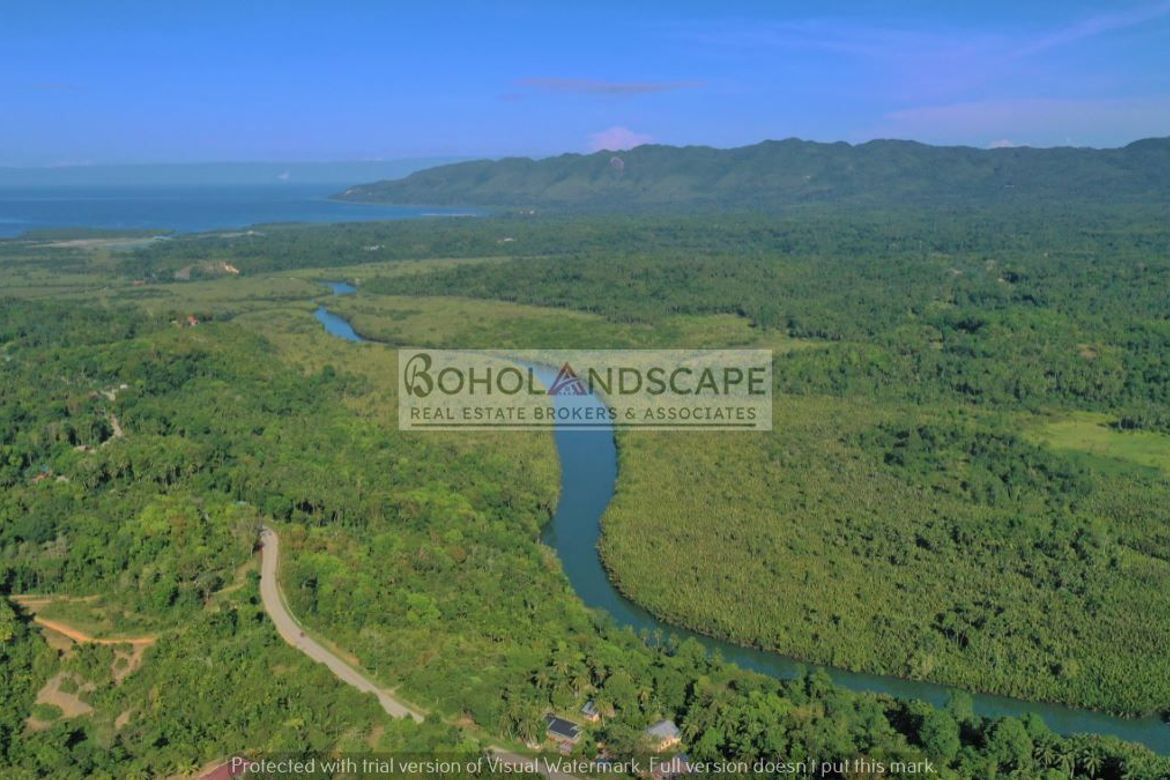 Land for Sale in Poblacion, Cortes, Bohol – photo 7