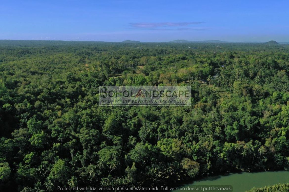 Land for Sale in Poblacion, Cortes, Bohol – photo 8