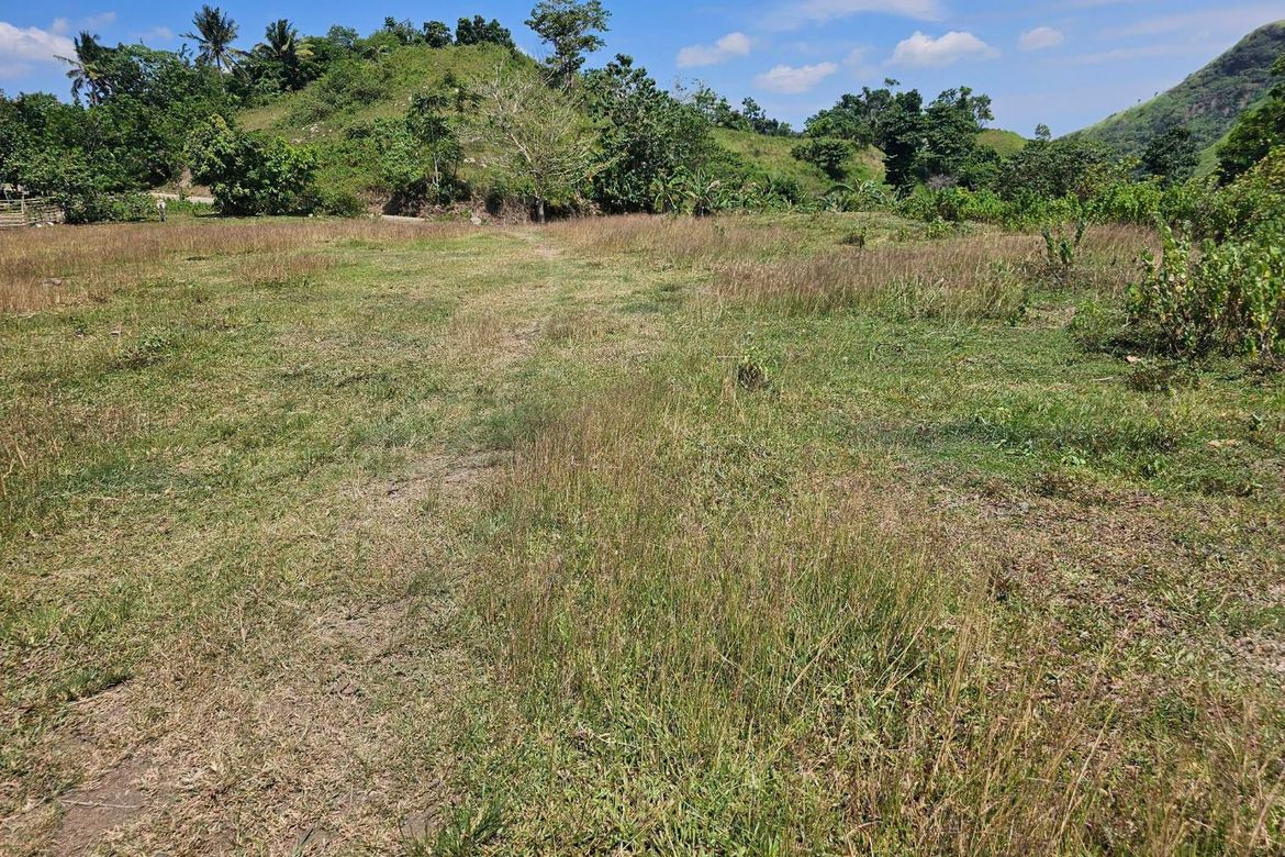 Land for Sale in Poblacion, Dagohoy, Bohol