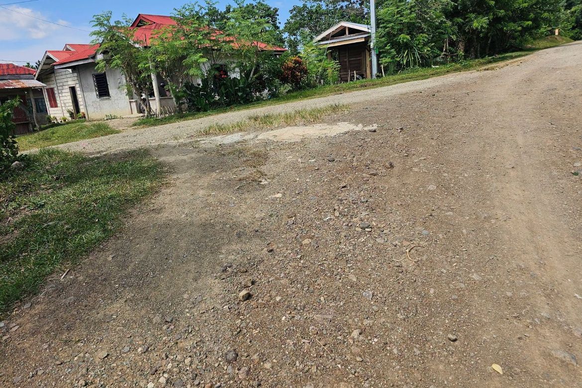 Land for Sale in Poblacion, Dagohoy, Bohol – photo 2