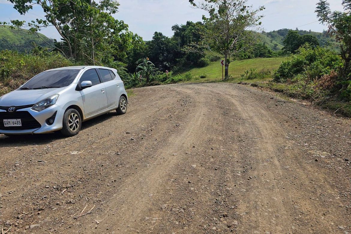Land for Sale in Poblacion, Dagohoy, Bohol – photo 4