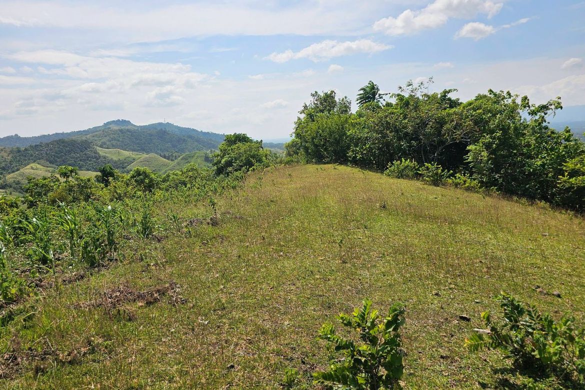 Land for Sale in Poblacion, Dagohoy, Bohol – photo 5